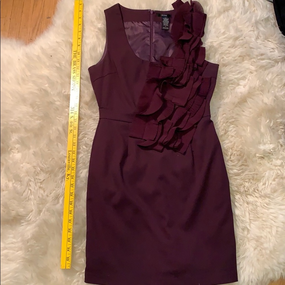 Plum Dress